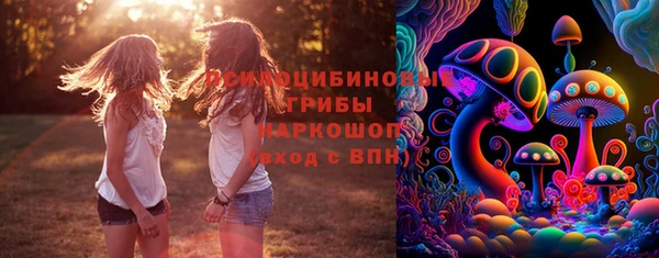 ECSTASY Тихвин