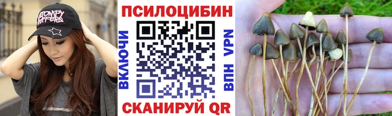 Галлюциногенные грибы ЛСД  Купить где  Сухиничи 