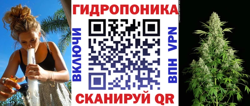 Купить закладки  Сухиничи  Бошки Шишки марихуана 